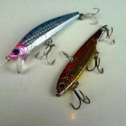 タチウオが飛んだ日