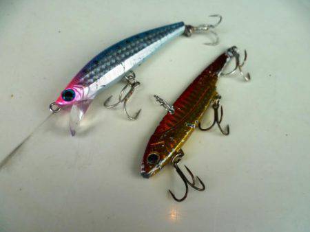 タチウオが飛んだ日