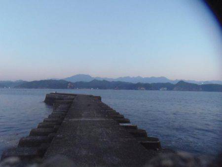 サンバソウとコッパグレばかり