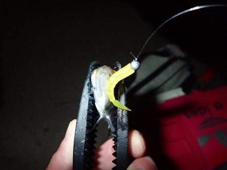 仕事終わりにサクッと！