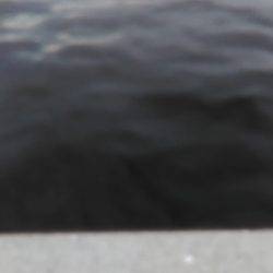 近所湾奥でハマチ