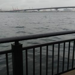 いとこの初めて