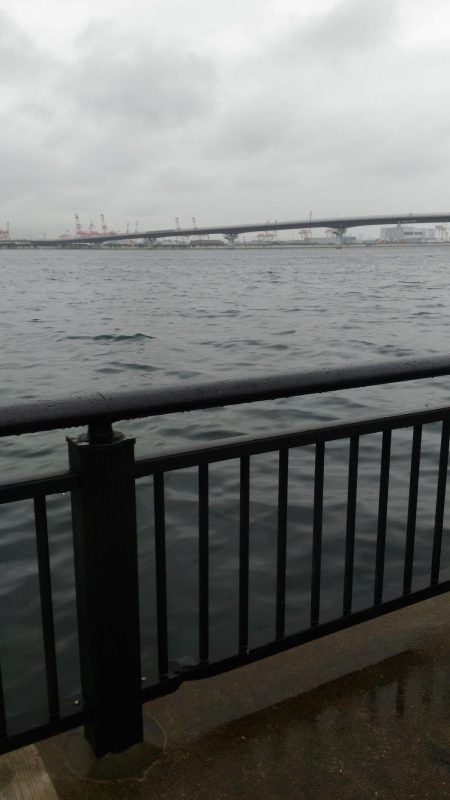 いとこの初めて