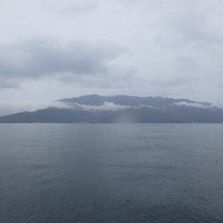 今日は渋かった