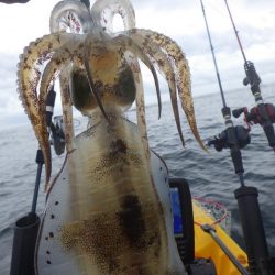 ティップランエギング