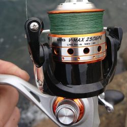 釣り部 釣行記 3