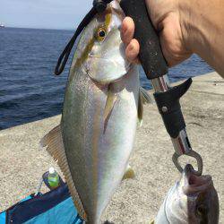 浜吉丸でいく小浦一文字7