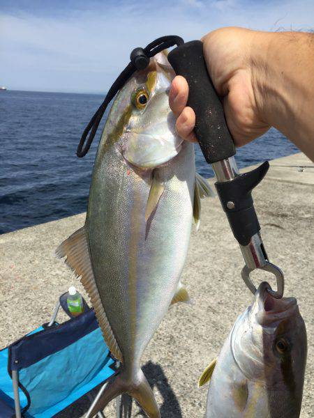 浜吉丸でいく小浦一文字7