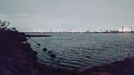 ルアー調査、シーバスは？