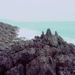 小さくても青物