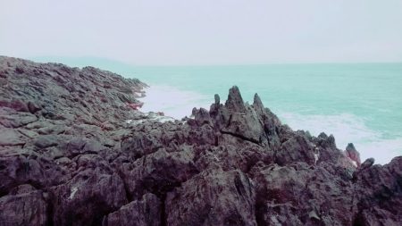 小さくても青物