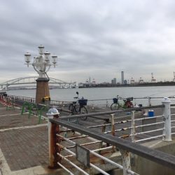 大阪舞洲（まいしま）でカニでヘチ釣り　食いが渋かった！