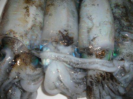 気温高めです。