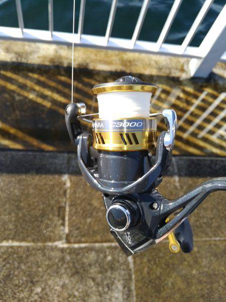 ２週間ぶりのタチウオ