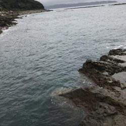 雨のなかでエギング