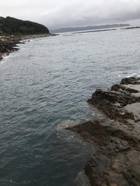 雨のなかでエギング