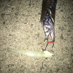 パターンは長めのフォール！もう一度言います長めのフォールです！！