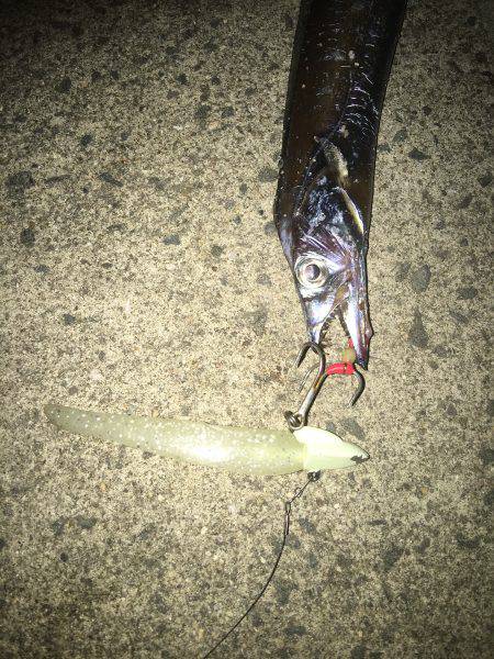 パターンは長めのフォール！もう一度言います長めのフォールです！！