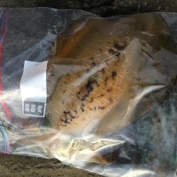 台風後…台風前釣行！