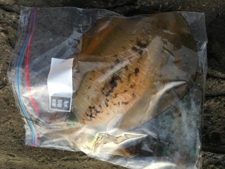 台風後…台風前釣行！