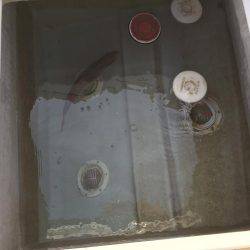 カンパチ、アジ