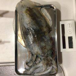 陽が沈んでから