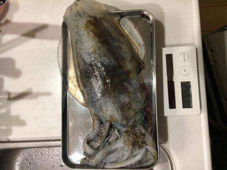 陽が沈んでから