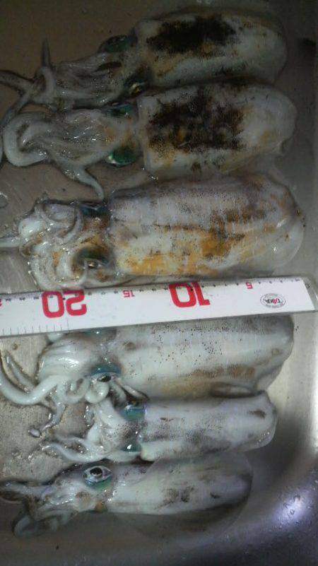 風 時々 アオリ