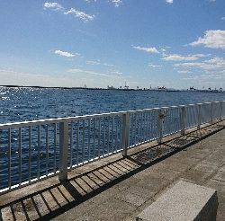 タチウオ　サゴシ