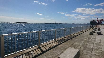 タチウオ　サゴシ