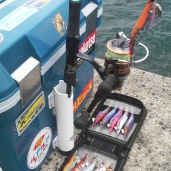 イカがタコ（凧）ように・・・