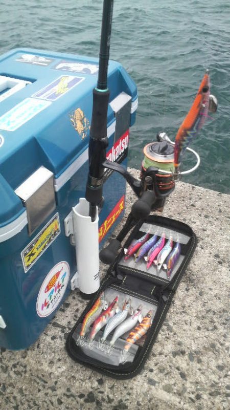 イカがタコ（凧）ように・・・