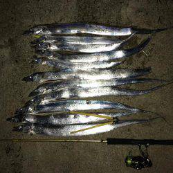 好調の武庫一！