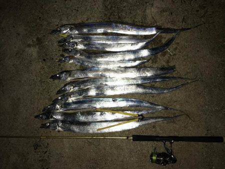 好調の武庫一！