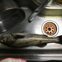 ボイル後の一本!