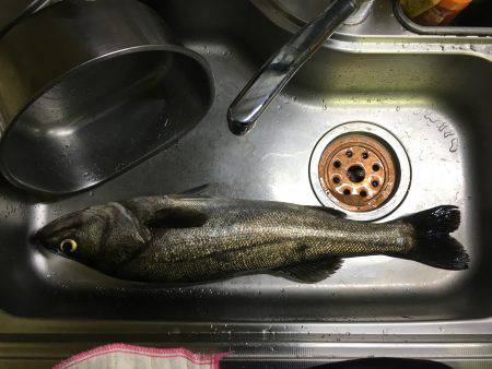 ボイル後の一本!