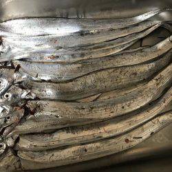 マナーを守るという事