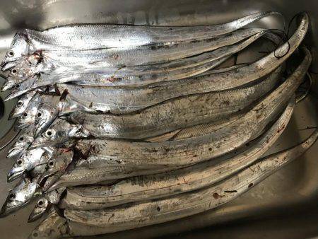 マナーを守るという事