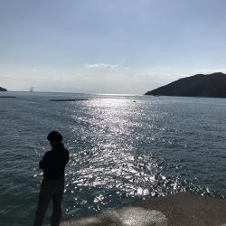 サヨリ かわはぎGET!!