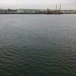 雨にも負けず♪