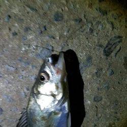 ナイトライトゲーム