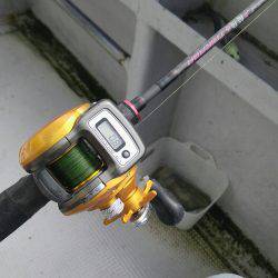 神戸沖 船太刀魚 西宮釣人家にて