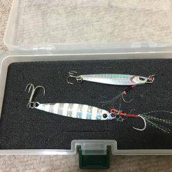 ハマチ◯ タチウオ✖️