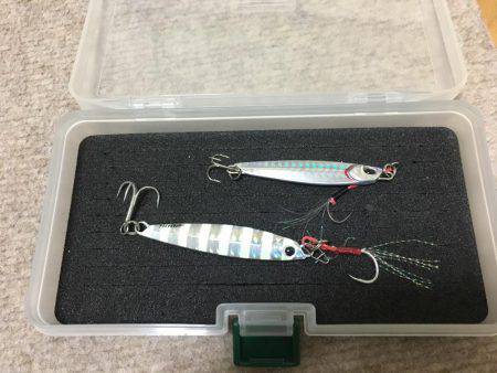 ハマチ◯ タチウオ✖️