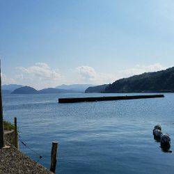 キスからカレイの調査