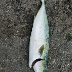 この釣り場もそろそろ終わりかなぁ