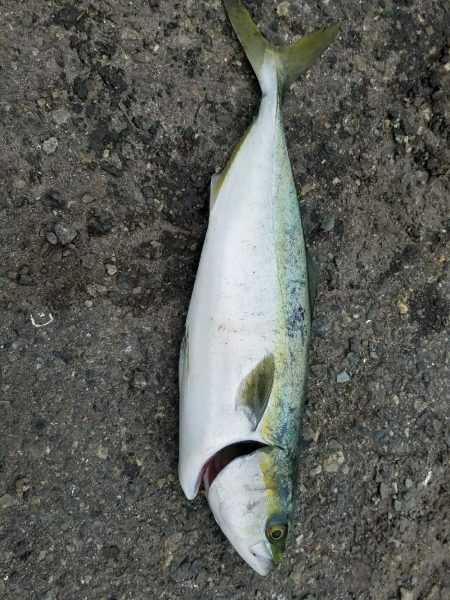 この釣り場もそろそろ終わりかなぁ