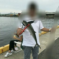 たまたま！？！？