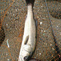 NEWロッド入魂完了♪