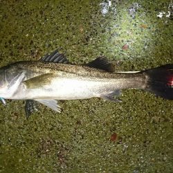 雨降りは素敵♪